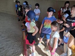 4487121939299762155969945297824261686622018n